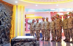 杨树林从5米高的云梯跌落
